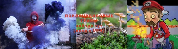 дурь Пестово