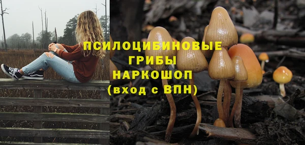 винт Арсеньев