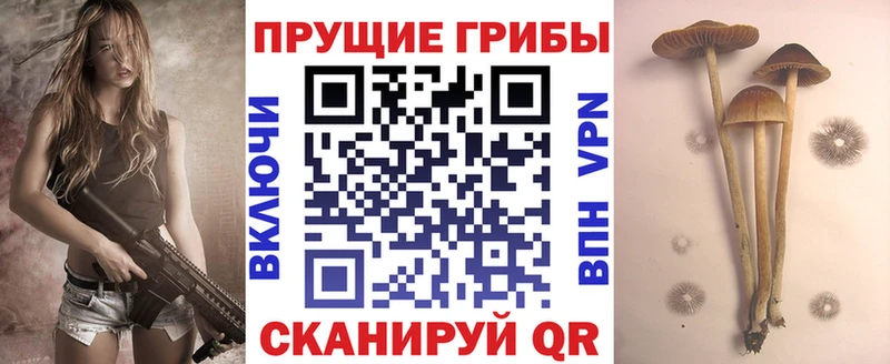ОМГ ОМГ вход  Палласовка  Галлюциногенные грибы мицелий 